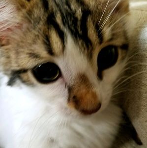 Meet your Posher, Sabrina